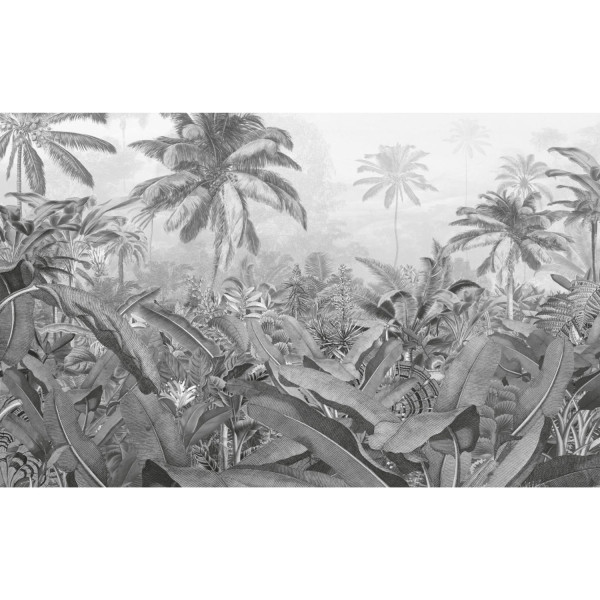 Pôster XXL IMPRESSÃO DIGITAL AMAZÔNIA PRETO E BRANCO 400 X 250 CM