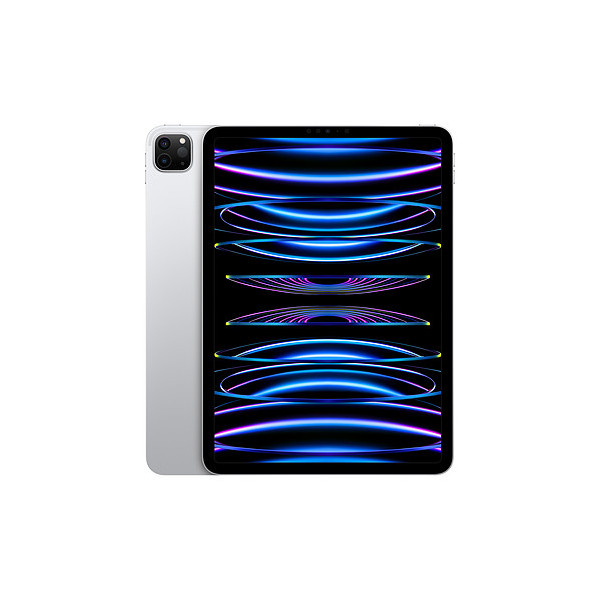 IPAD PRO 11'' 256 GO WIFI ARGENT 2022