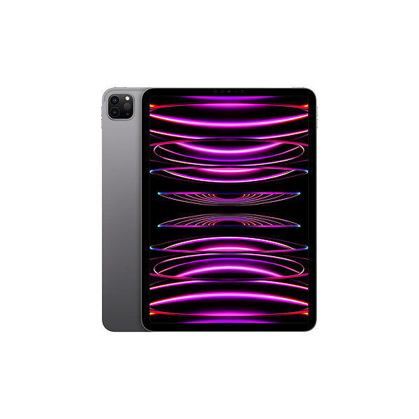 IPAD PRO 11'' 256 GB WIFI SPACE GRAY 2022