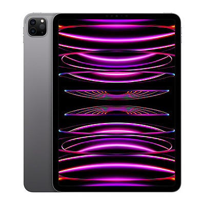 IPAD PRO 12.9'' 256 GB GEN6 SPACE GRAY 2022