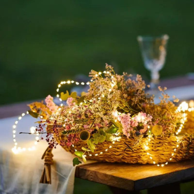 GUIRLANDE KIKI 300 LEDS GRAINS DE RIZ ET SON TRANSFORMATEUR 2