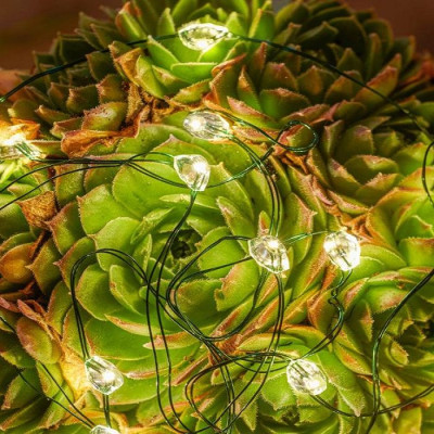 GUIRLANDE LUMINEUSE MAGGIE 40 LEDS TRANSPARENT ET VERT 2