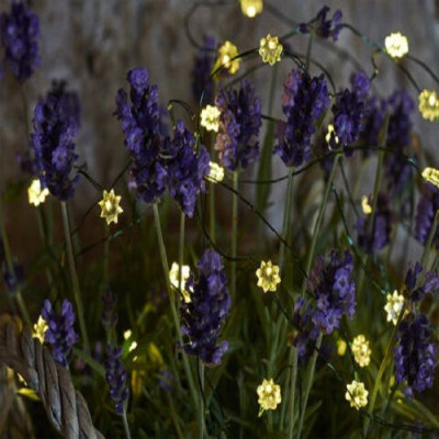 GUIRLANDE LUMINEUSE SILKE FLEURS COLOREES 40 LED TRANSPARENT ET VERT 2