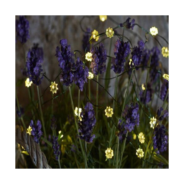 FLUXO DE LUZ FLORES COLORIDAS DE SEDA 40 LEDS TRANSPARENTES E VERDES