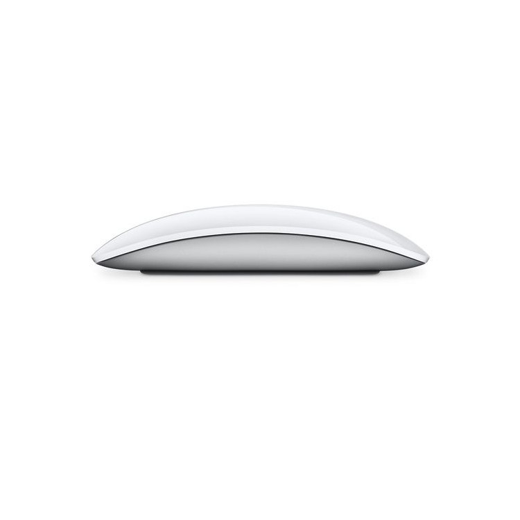 MAGIC MOUSE 2 WIRELESS SILVER