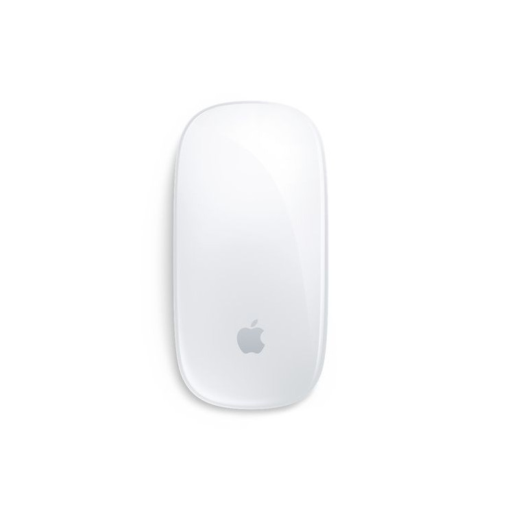 SOURIS MAGIC MOUSE 2 SANS FIL ARGENT