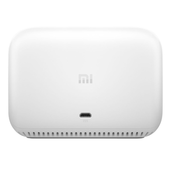 ASSISTENTE DE VOZ ACORDAR CONECTADO MI BRANCO