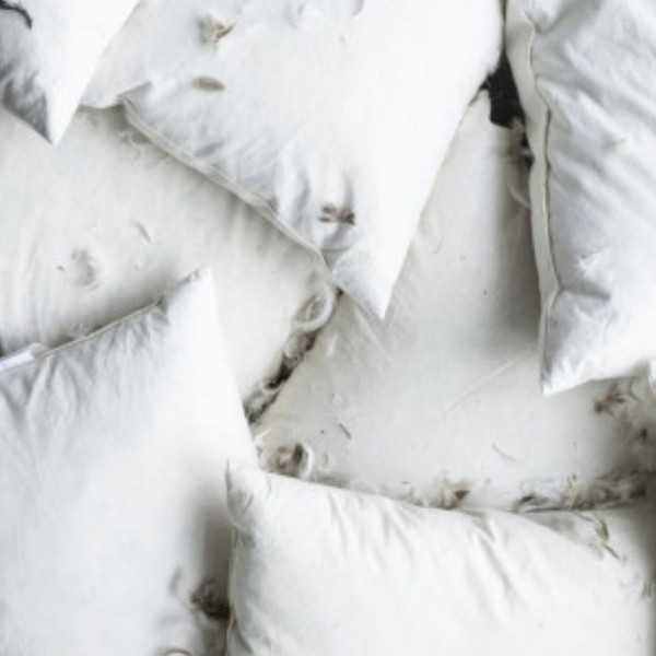 RECTANGULAR PILLOW WITH DUCK FEATHERS...