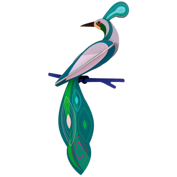 PARADISE BIRD FIJI 3D WALL DECORATION