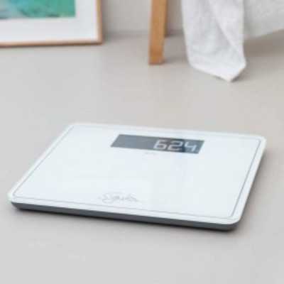 P ERS ONS SCALE GS400... 2