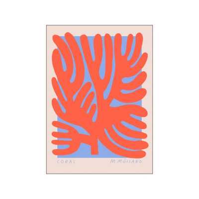 POSTER MADELEN CORALS 30 X...
