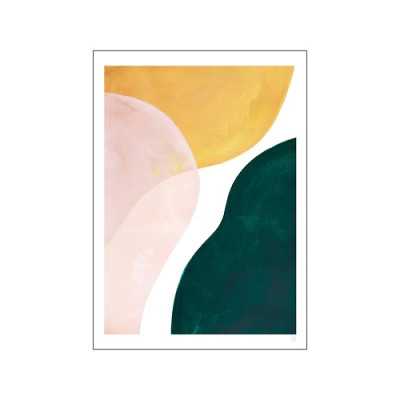 POSTER TRANSPARENT ROSE 100...