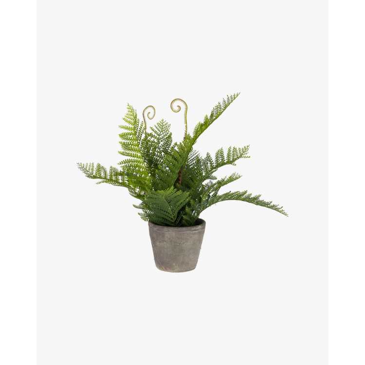 ARTIFICIAL PLANT FERN FILICOPSIDA