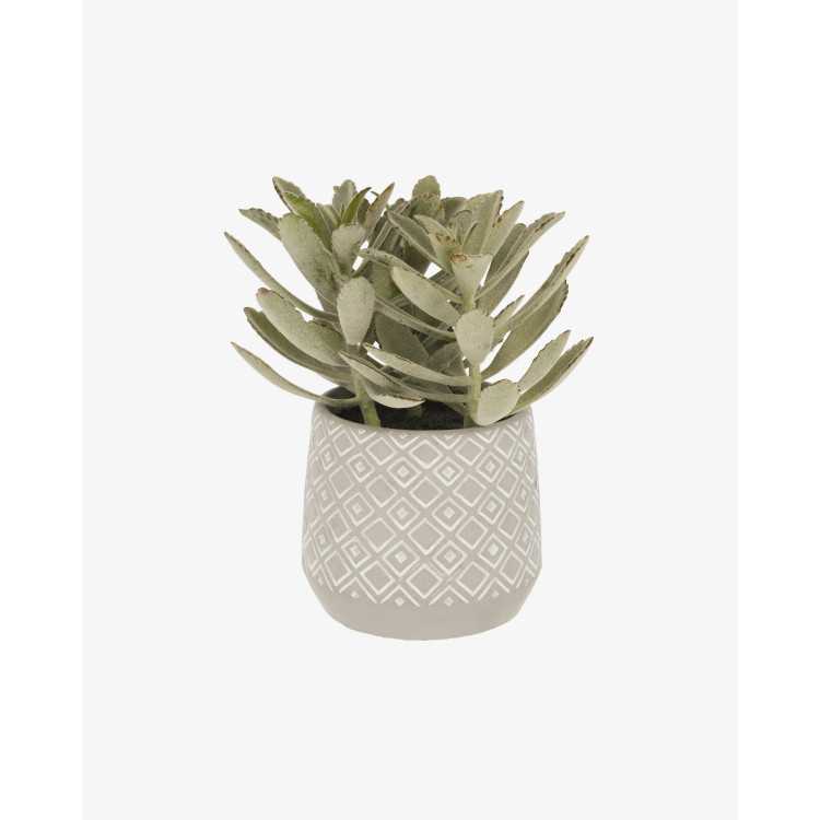 ARTIFICIAL PLANT KALANCHOE TOMENTOSA