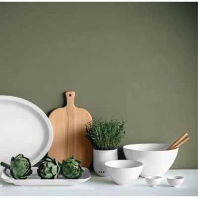 PLAT OVALE 59,5 X 20,5 CM BLANC 2