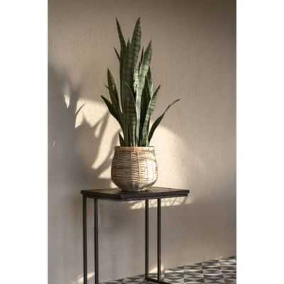 POT DE FLEUR ANTONIO L BAMBOU 2