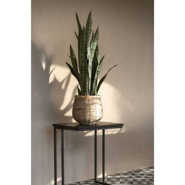 POT DE FLEUR ANTONIO L BAMBOU