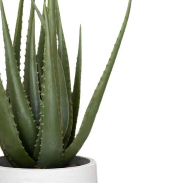 ALOE ARTIFICIEL POT M VERT