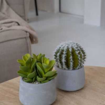 CACTUS ARTIFICIEL POT EN CIMENT S VERT 2