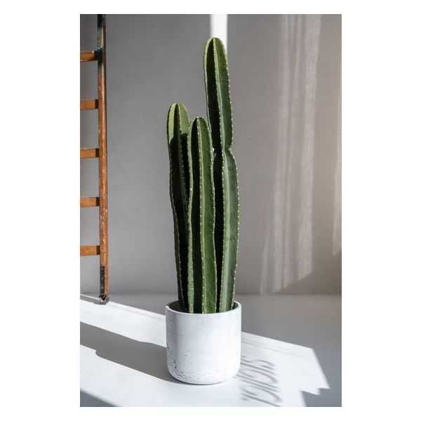 PLANTE ARTIFICIELLE CACTUS SANS PEDRO XL