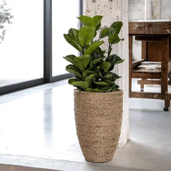 POT DE FLEUR BEN XL PAILLE