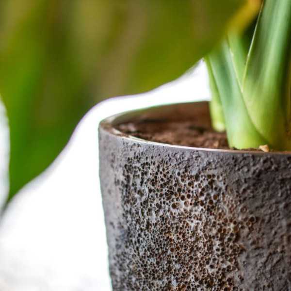 POT DE FLEUR BERND MARRON IMPERIAL