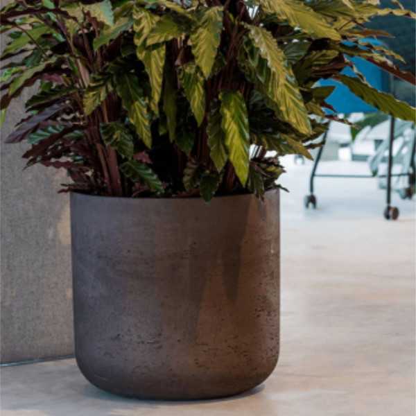 POT DE FLEUR CHARLIE L