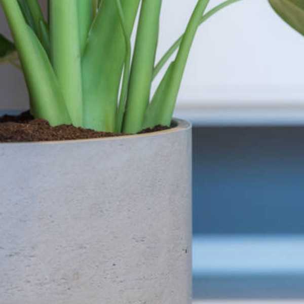POT DE FLEUR CHARLIE XXL