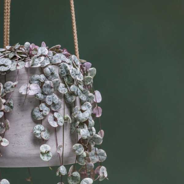 FLOWER PATT HANGING XL