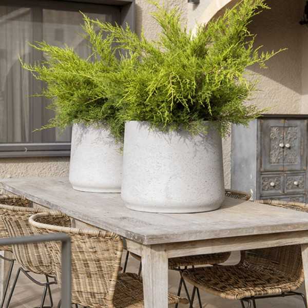 PATT XXX LG RIS LAVA FLOWER POT