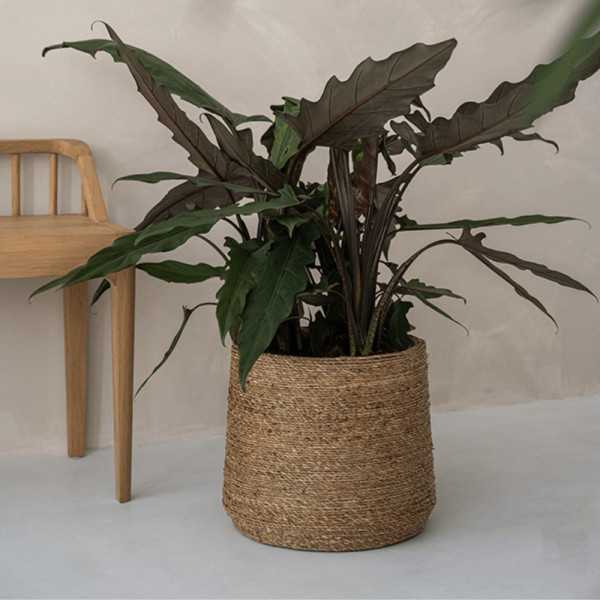 PATT L VASO DE FLOR DE PALHA