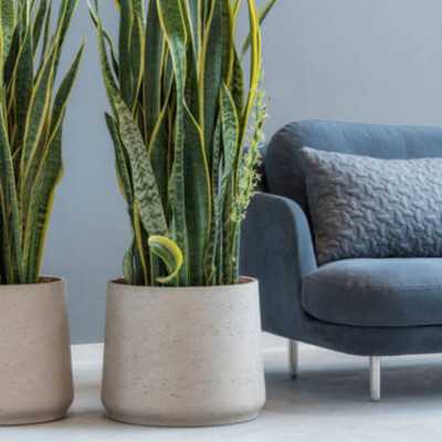 POT DE FLEUR PATT XXL 2