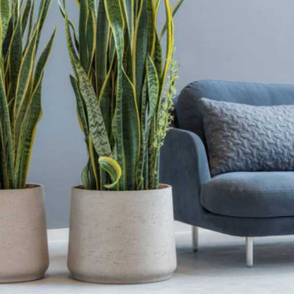 PATT XXL FLOWER POT