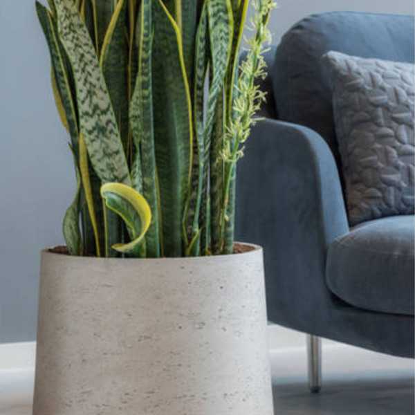 PATT XXL FLOWER POT