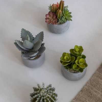 SUCCULENT ARTIFICIEL POT EN CIMENT S VERT 2