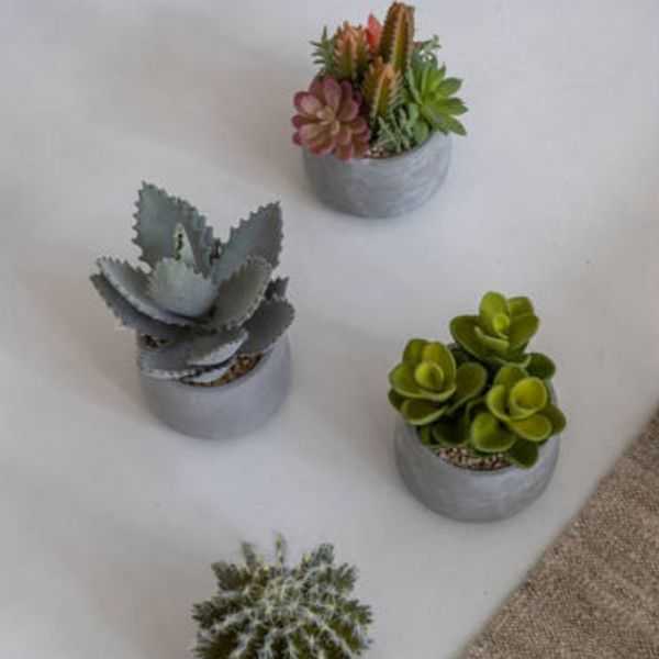 SUCCULENT ARTIFICIEL POT EN CIMENT S VERT