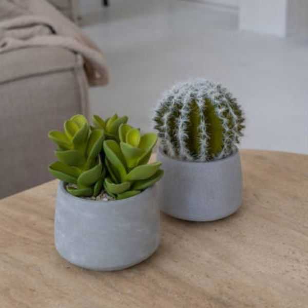 SUCCULENT ARTIFICIEL POT EN CIMENT S VERT