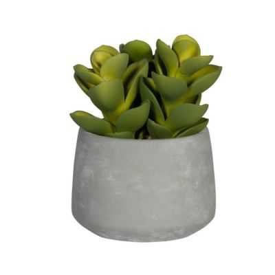 SUCCULENT ARTIFICIEL POT EN CIMENT S VERT