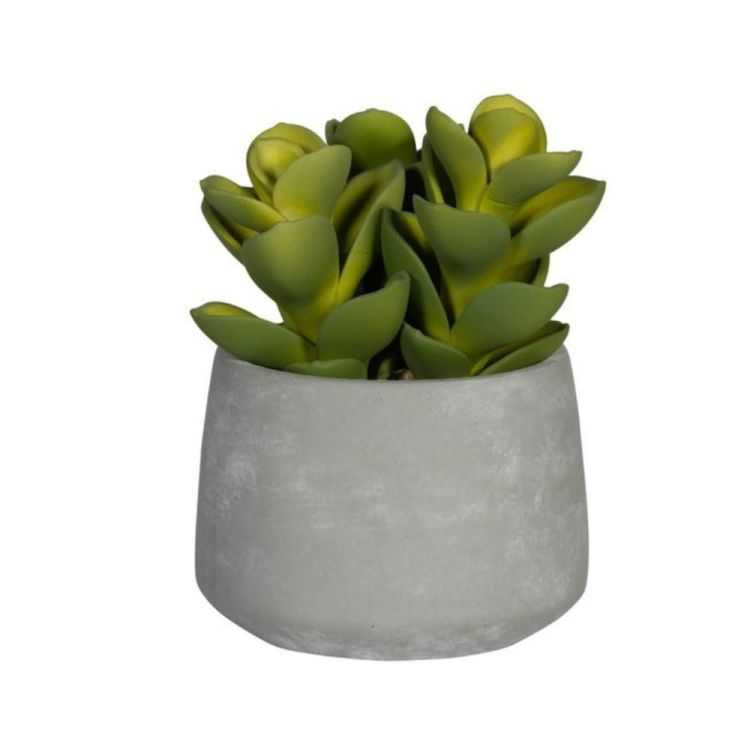 SUCCULENT ARTIFICIEL POT EN CIMENT S VERT