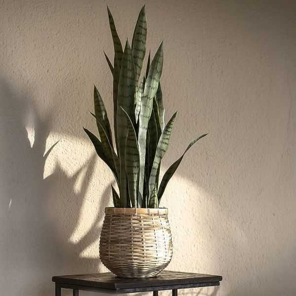 SANSEVIERIA ARTIFICIEL EN POT S VERT