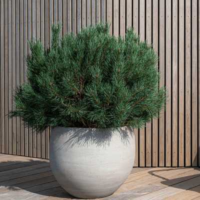 POT DE FLEUR ORB L 2