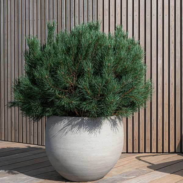 POT DE FLEUR ORB L
