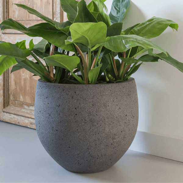 POT DE FLEUR ORB L