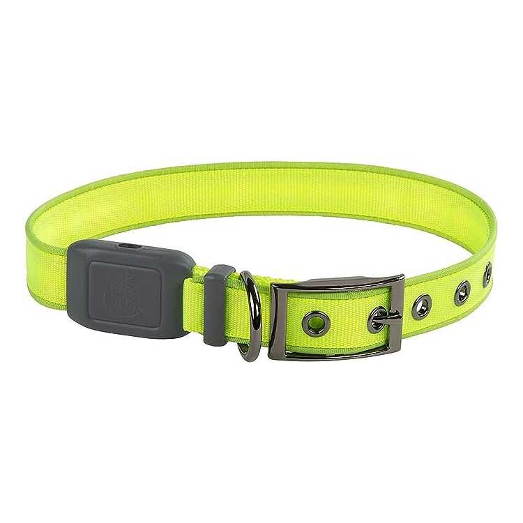 COLLIER LED RECHARGEABLE CITRON VERT LARGE