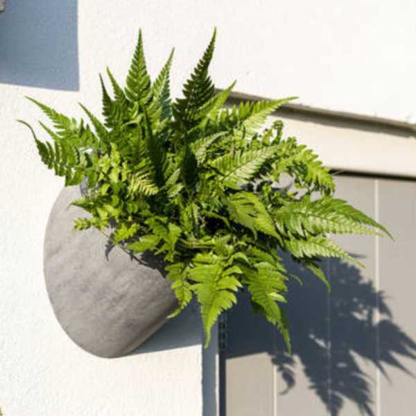 POT DE FLEUR PUK WALLY M