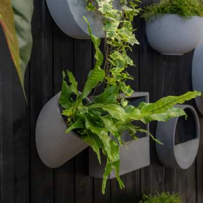 POT DE FLEUR PETER WALLY M 2