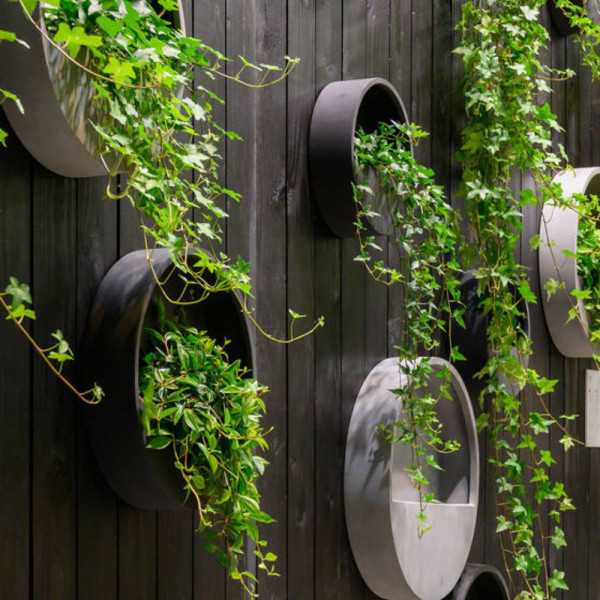 POT DE FLEUR SUSPENDU WALLY S