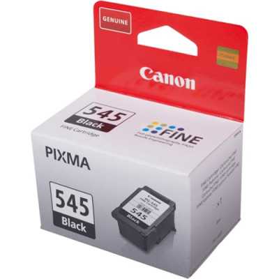 CARTOUCHE ENCRE  PG-545 NOIR