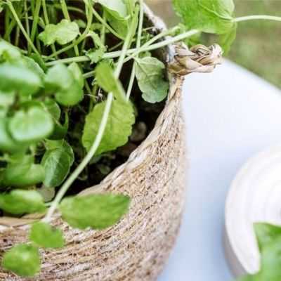 POT DE FLEUR A SUSPENSION JONC DE MER 2