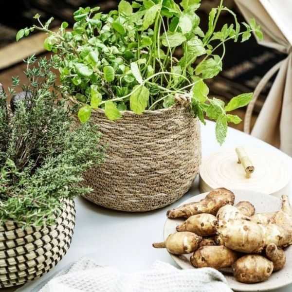 SEAGRASS HANGING FLOWER POT